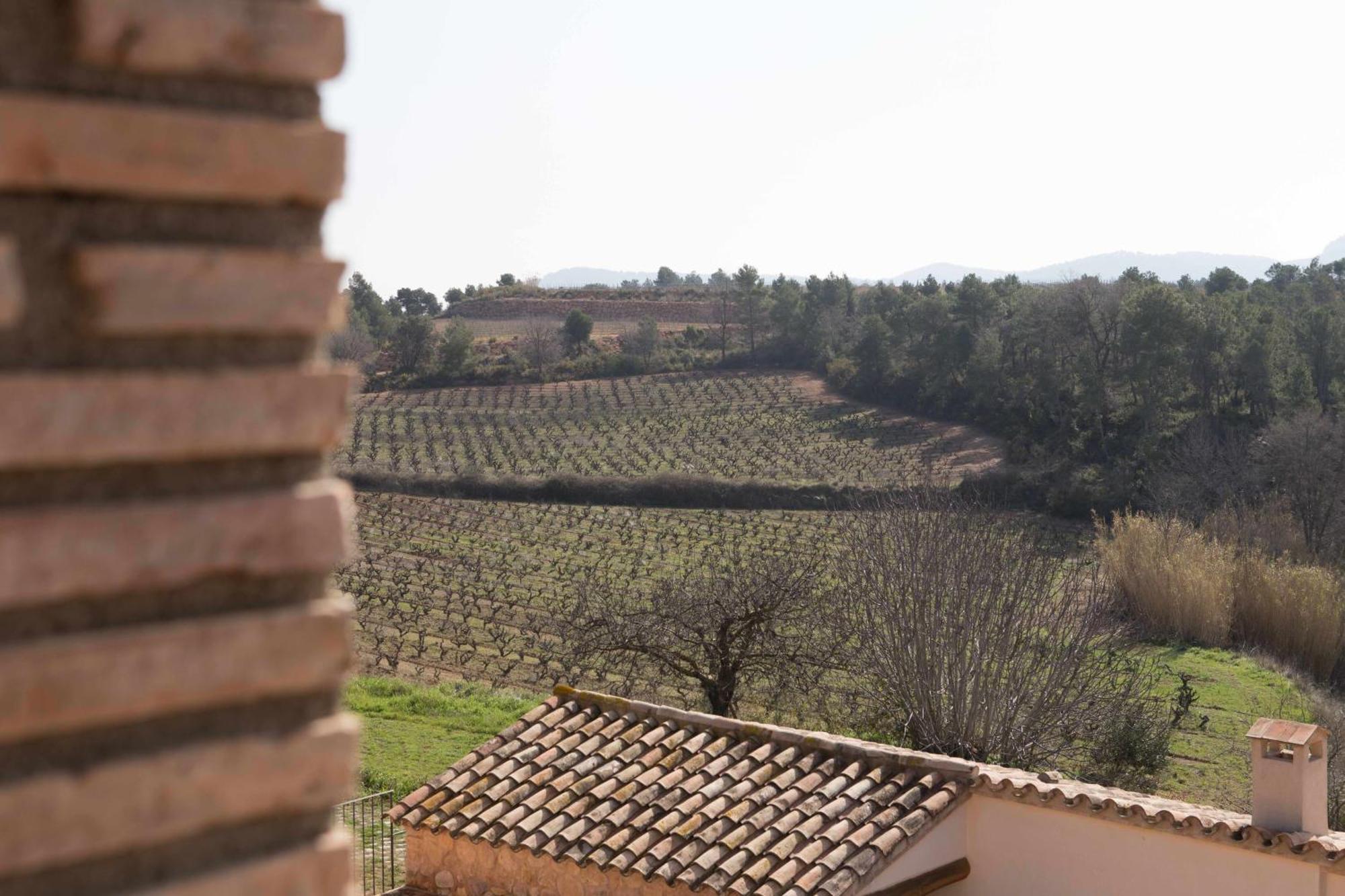 Casa Rural Masia Les Apieres El Pla de Manlleu Ngoại thất bức ảnh